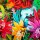 Baumwolljersey Blumenserie