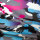 Gewirke für Regenbekleidung blau-pink