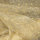 Organza Foliendruck Sterne gold
