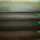 Velours Laser Carvings Diverse 1