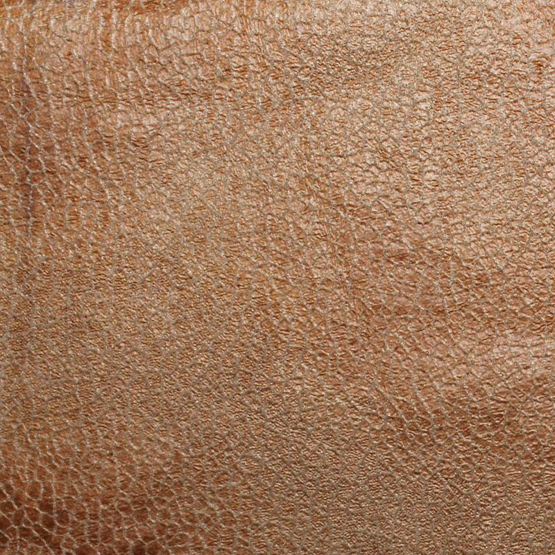 25 camel