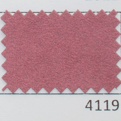 12 - 4119
