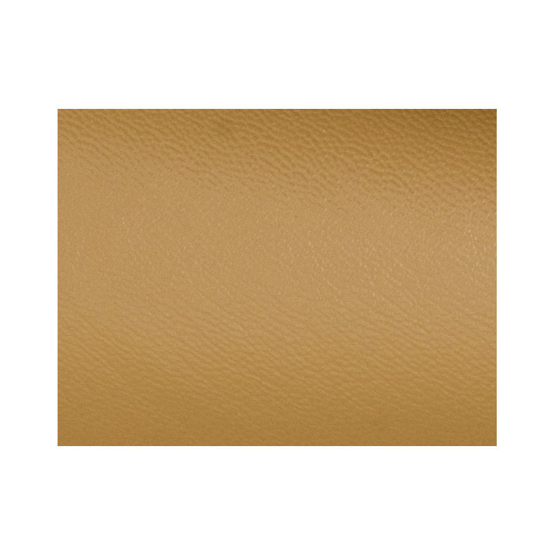 03 camel