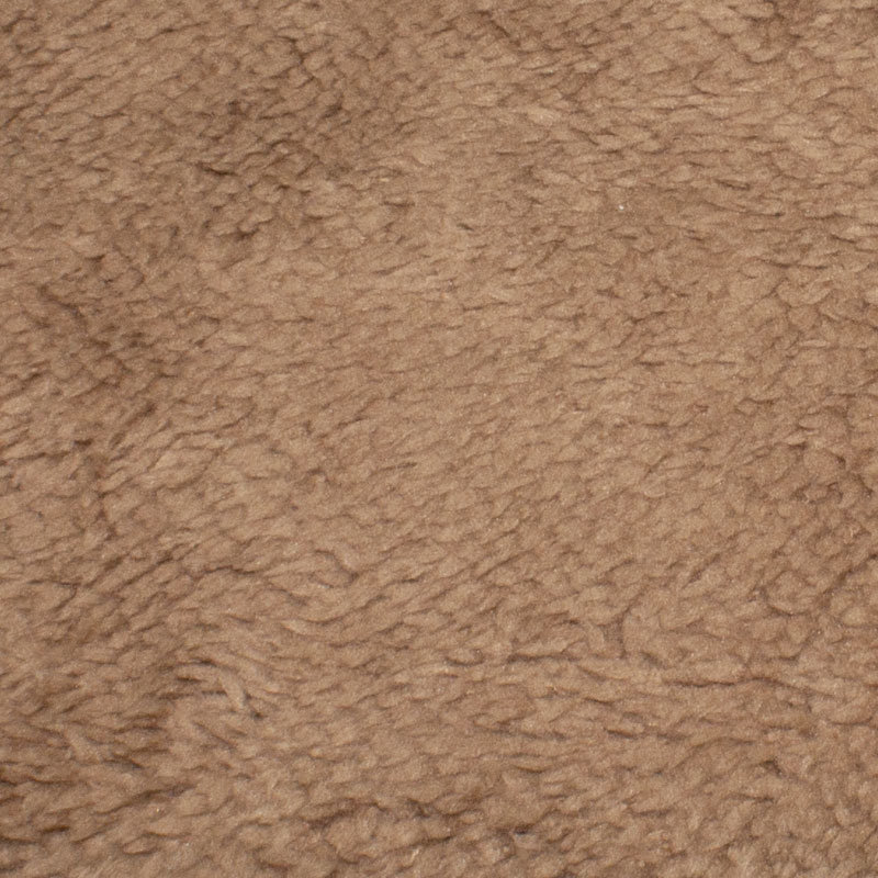 04 camel