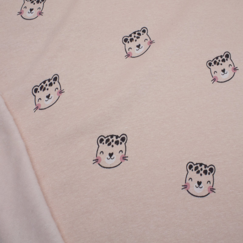 01 Katze